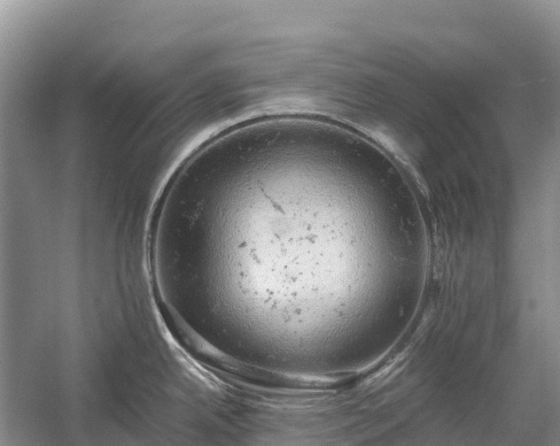 X0000058781342200510071559