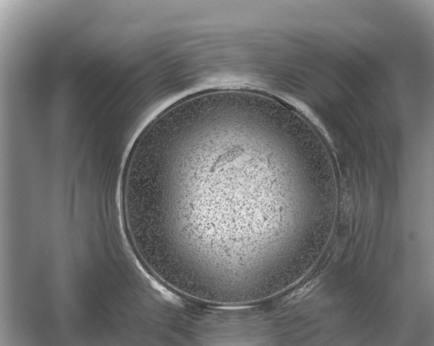 X0000058781343200510071559