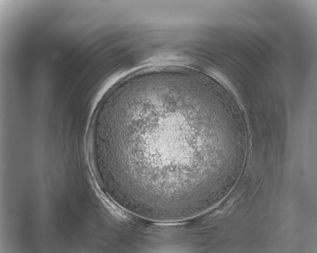 X0000058781344200510071559