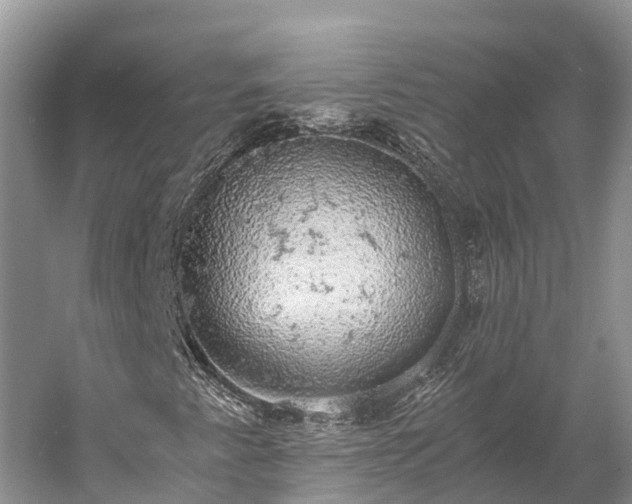 X0000058781345200510071558