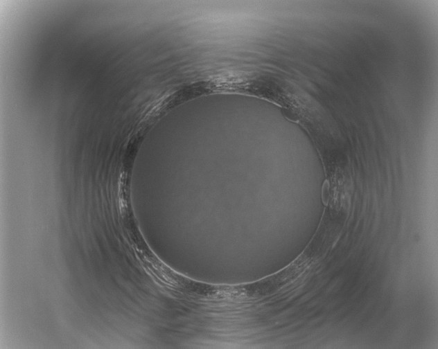 X0000058781346200510071558