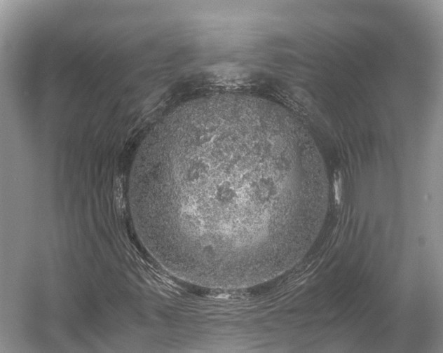 X0000058781347200510071558