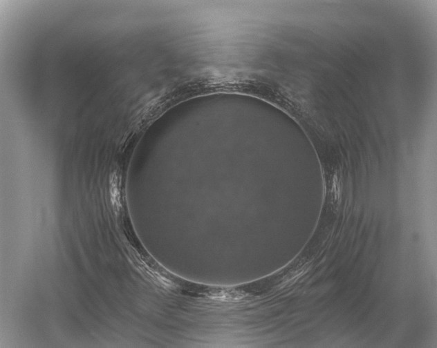 X0000058781348200510071558