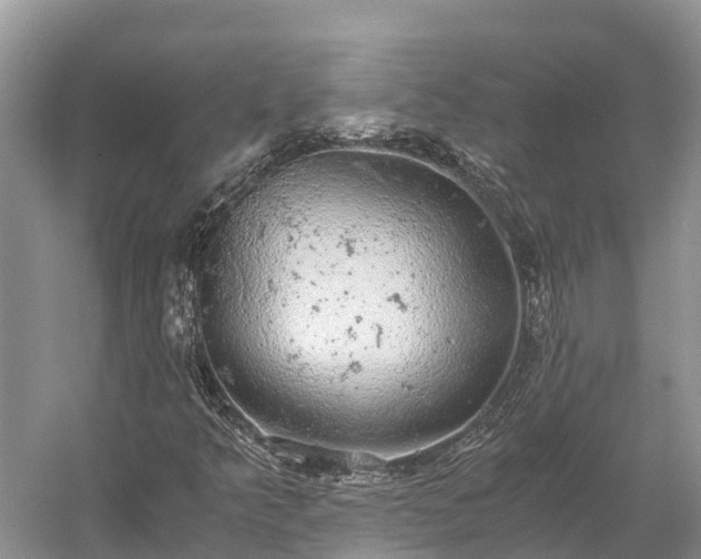 X0000058781349200510071558