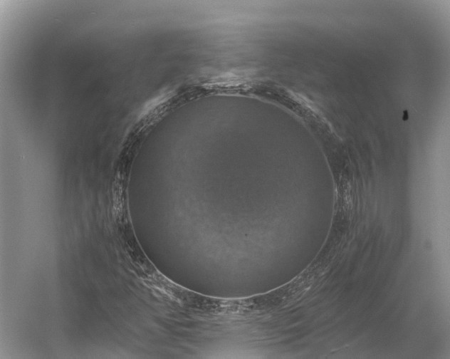 X0000058781350200510071558