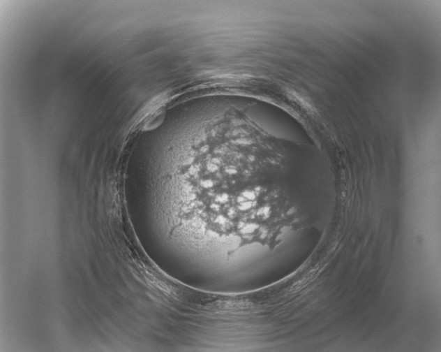 X0000058781354200510071558