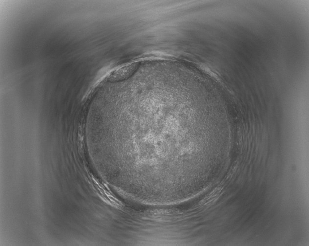 X0000058781355200510071558