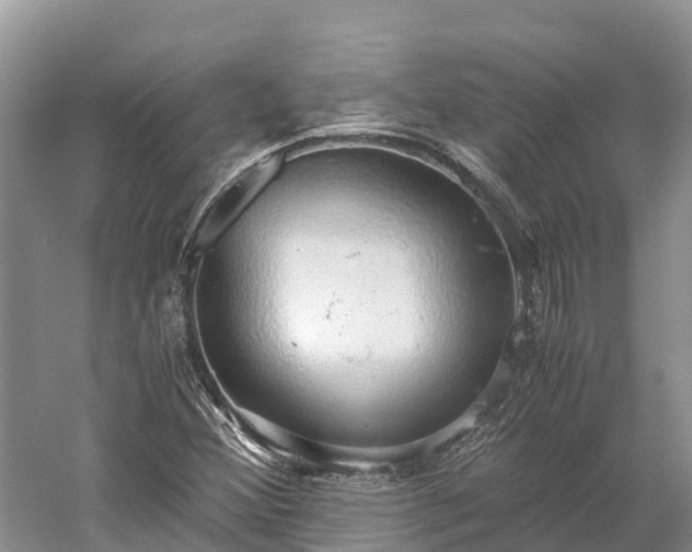 X0000058781356200510071558