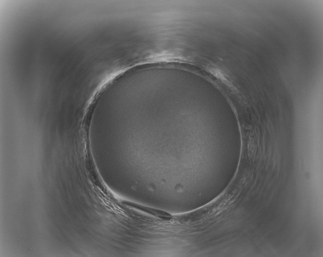 X0000058781358200510071558