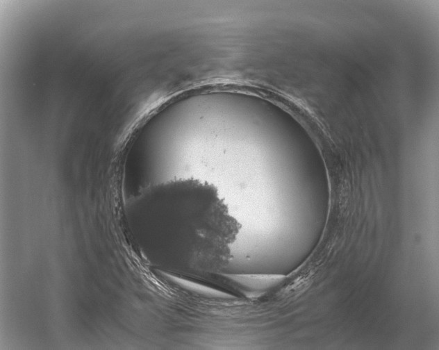 X0000058781359200510071558