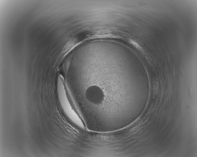 X0000058781361200510071558