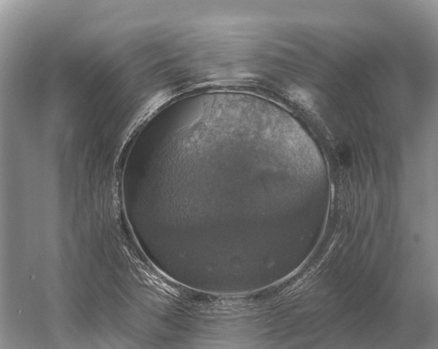 X0000058781362200510071558