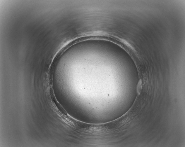 X0000058781364200510071558