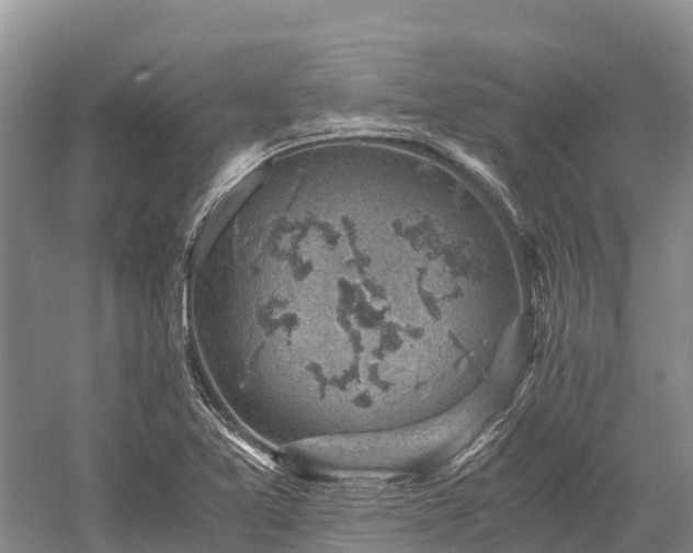 X0000058781365200510071558