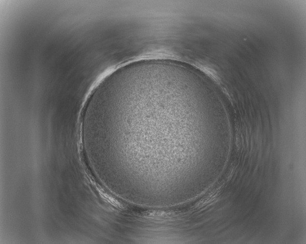 X0000058781366200510071558