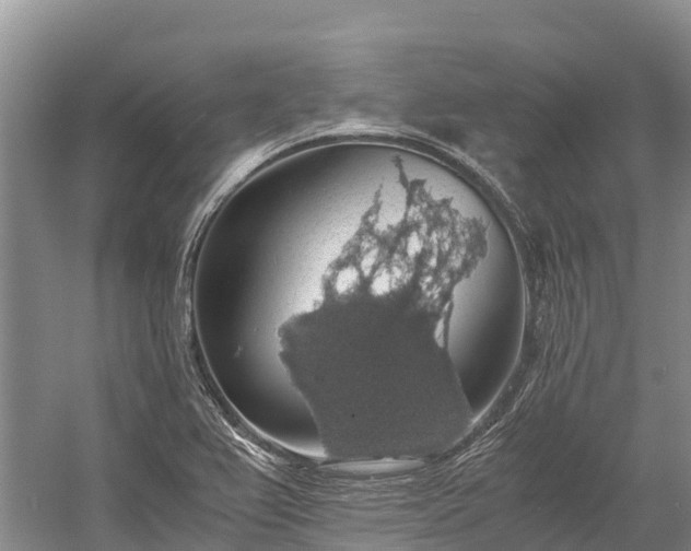 X0000058781367200510071558