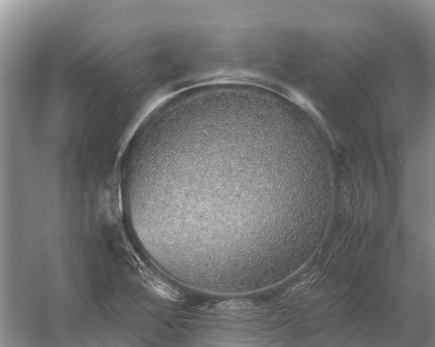 X0000058781368200510071558