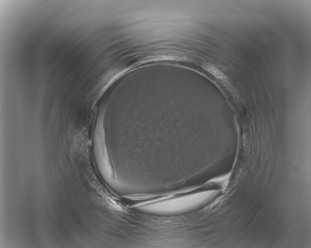 X0000058781369200510071558