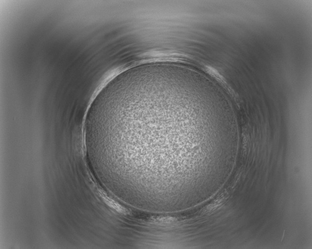 X0000058781370200510071558