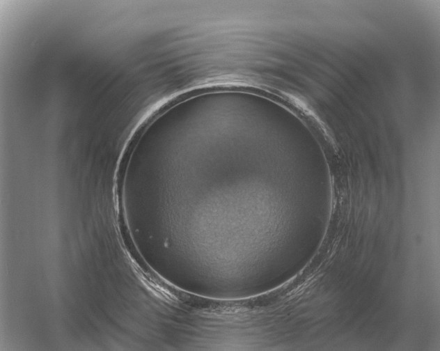 X0000058781372200510071558