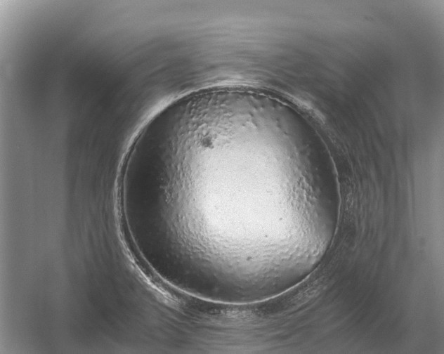 X0000058781375200510071557