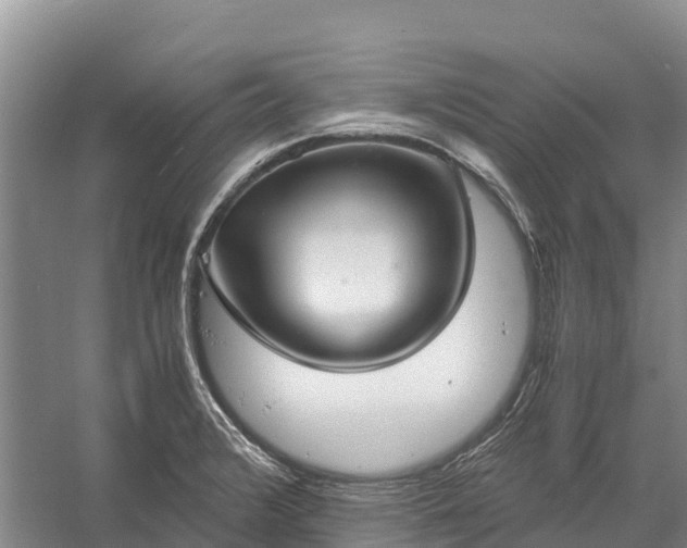 X0000058781376200510071557