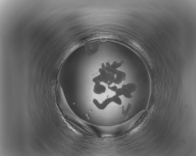 X0000058781377200510071557