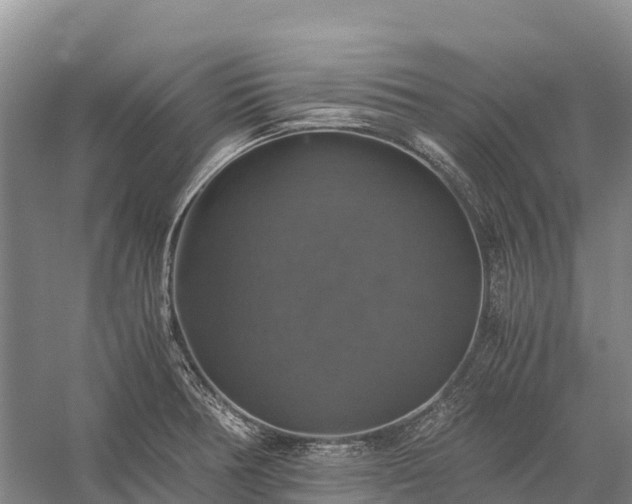 X0000058781378200510071557