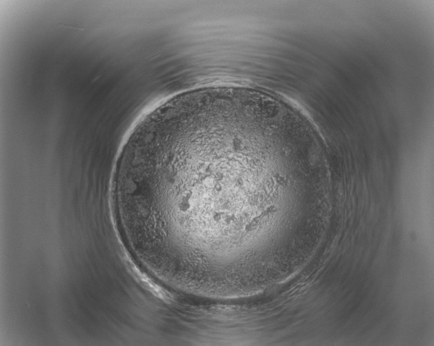 X0000058781379200510071557