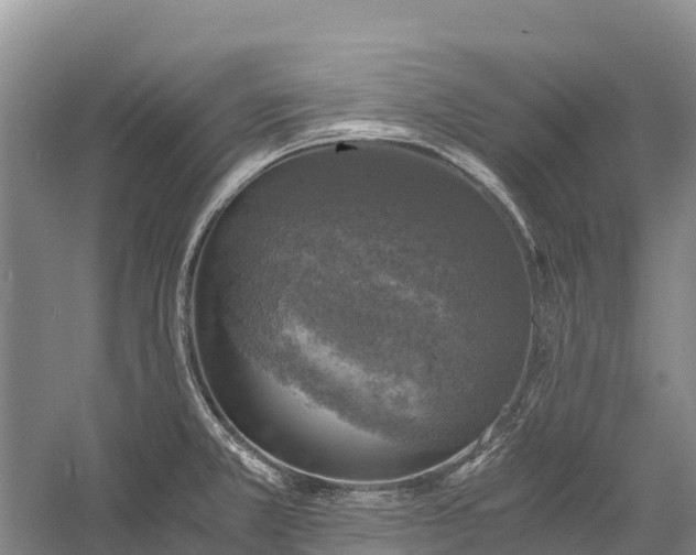 X0000058781381200510071557