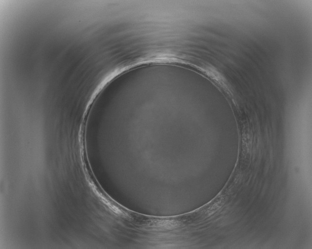 X0000058781382200510071557