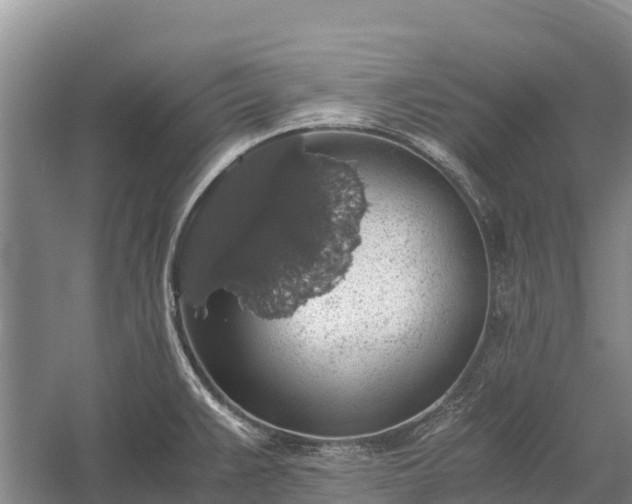 X0000058781383200510071557