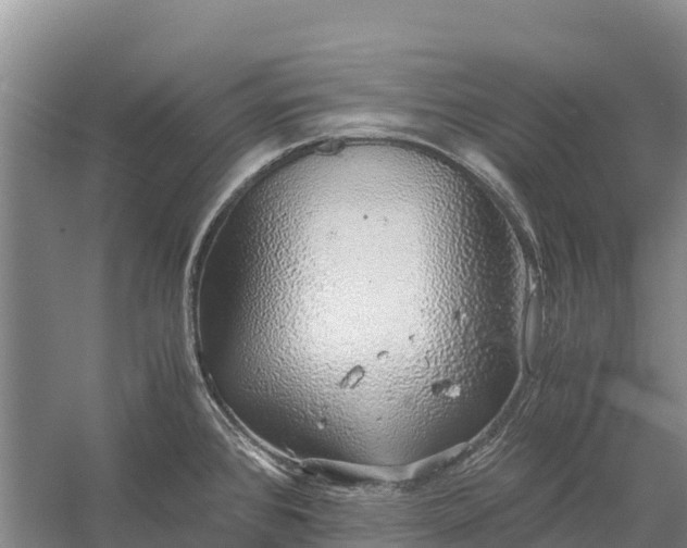 X0000058781384200510071557