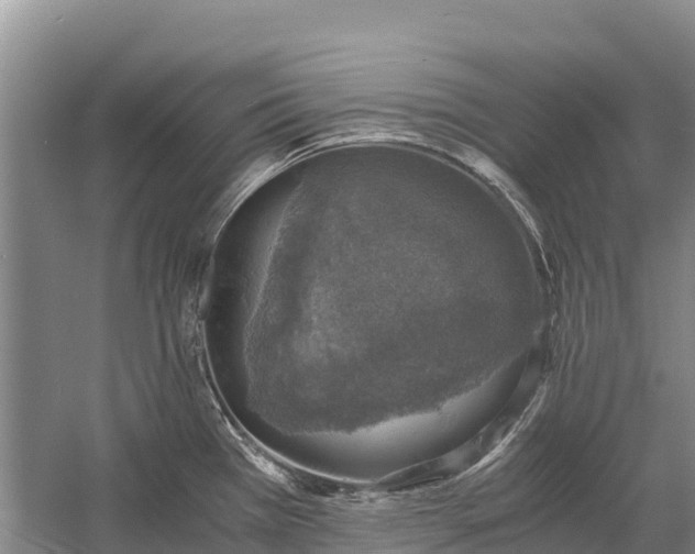 X0000058781385200510071557