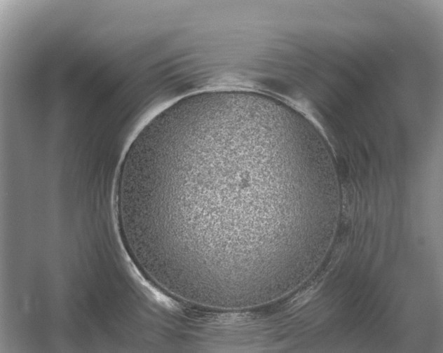 X0000058781387200510071557