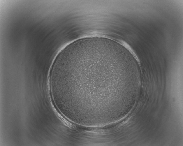 X0000058781388200510071557