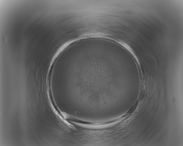 X0000058781389200510071557