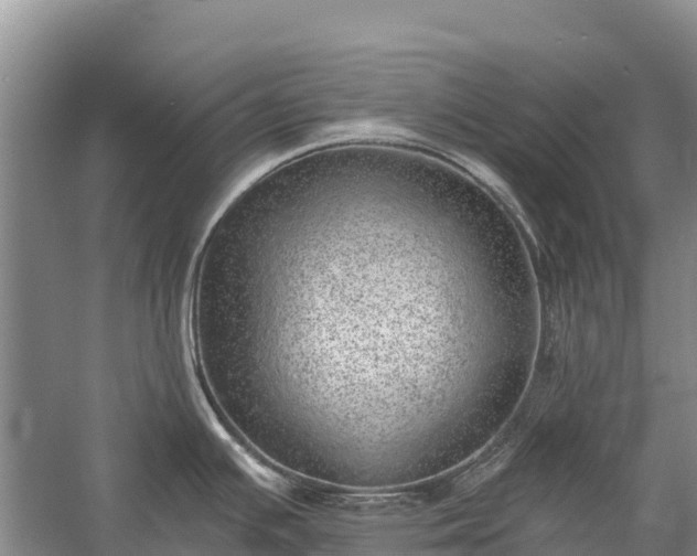 X0000058781391200510071557