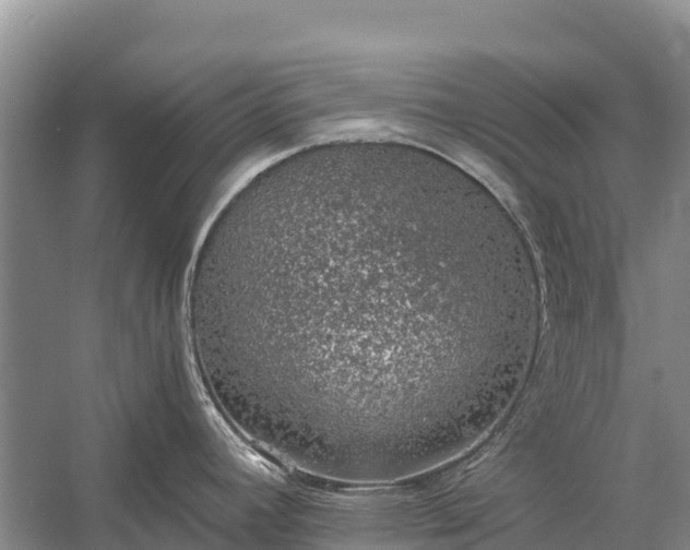 X0000058781392200510071557