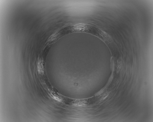 X0000058781394200510071556