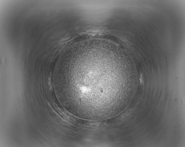 X0000058781396200510071556