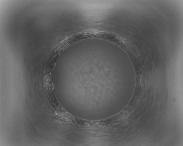 X0000058781397200510071556