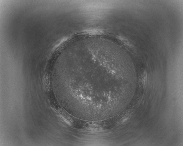 X0000058781398200510071556