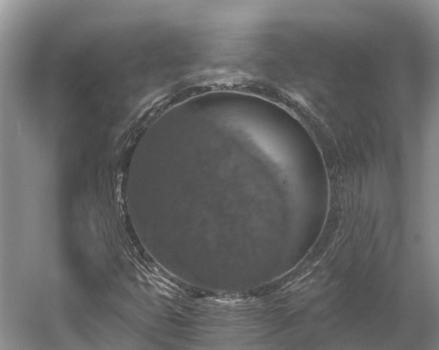 X0000058781399200510071556