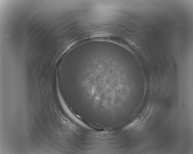 X0000058781401200510071557