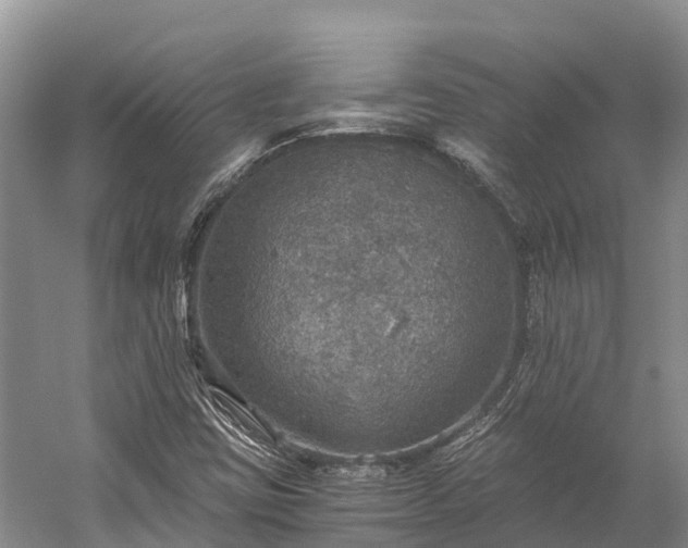 X0000058781403200510071557