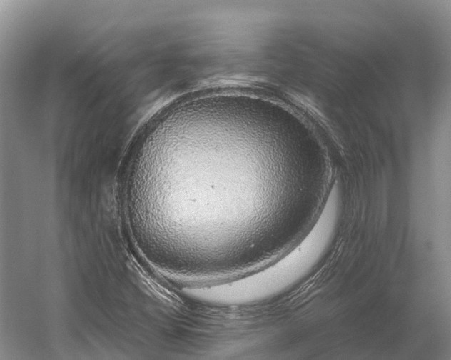 X0000058781404200510071557