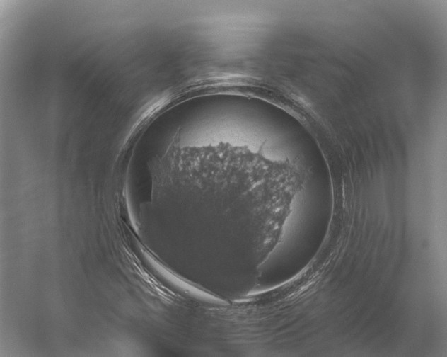 X0000058781405200510071557