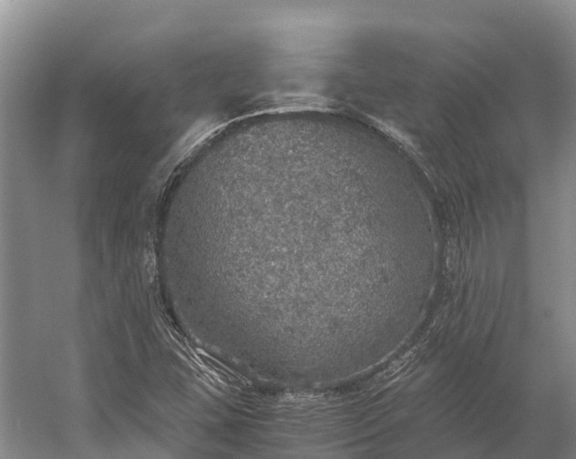 X0000058781407200510071557