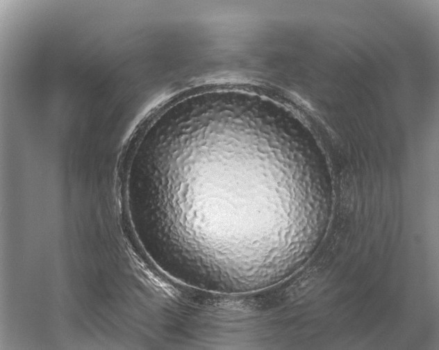 X0000058781408200510071557